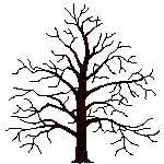 arbre anim site fab gnalogie