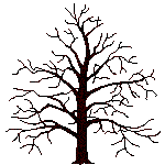 arbre anim site fab gnalogie